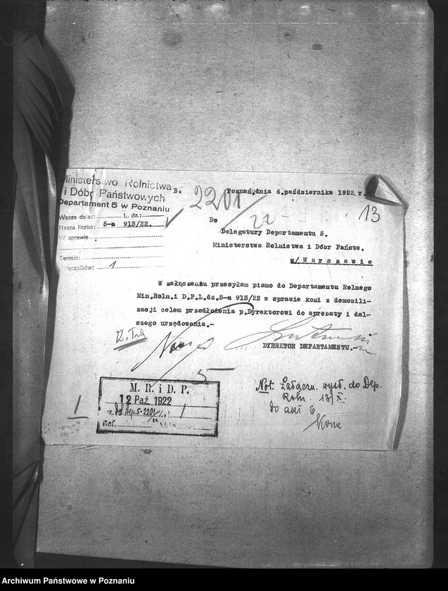 Obraz 17 z jednostki "Konie"