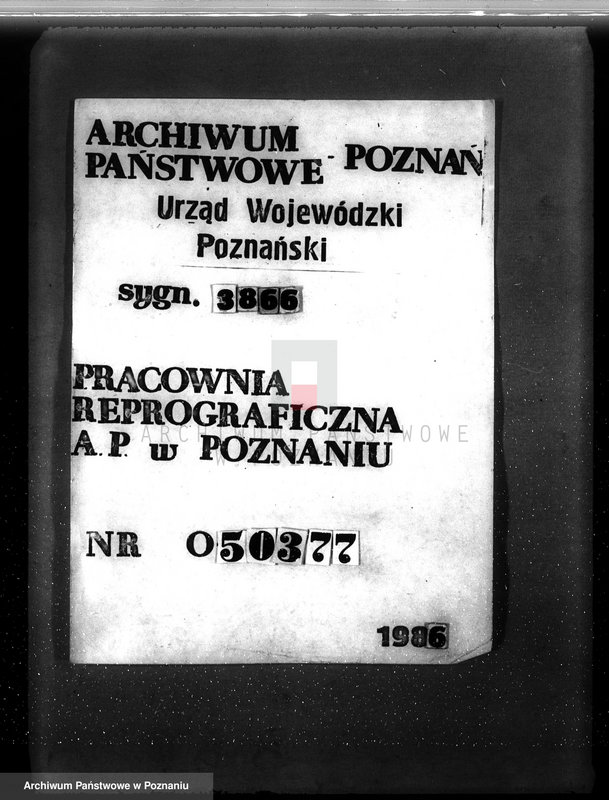 Obraz 8 z jednostki "Las gromady Dominowo powiat średzki"