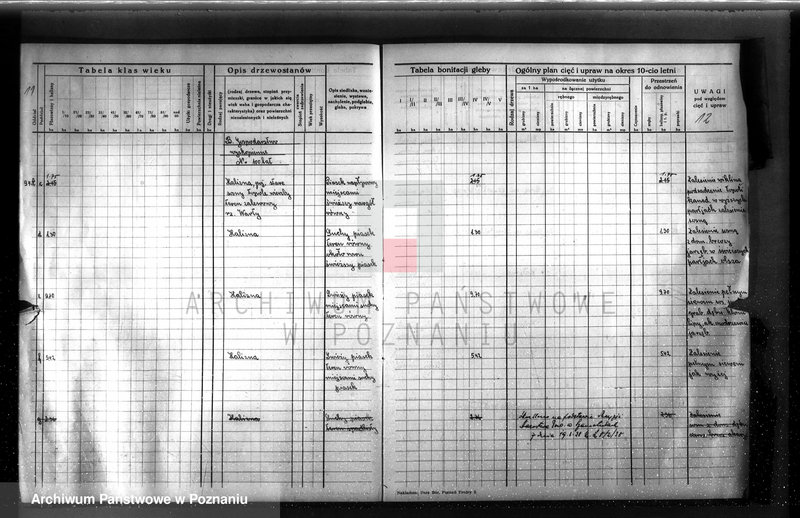 image.from.unit.number "Dodatkowy plan urządzenia gospodarstwa leśnego dla lasu ordynacji Obrzycko powiat szamotulski 1937-1938"