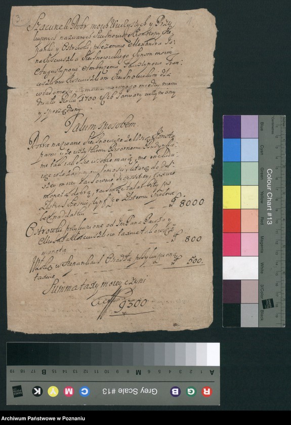 image.from.collection.number "Rodzina Kościuszków w zasobie Archiwum Państwowego w Poznaniu"