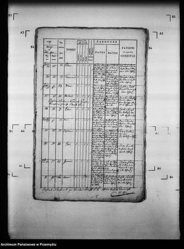 Obraz 8 z jednostki "[Kopie ksiąg metrykalnych parafii Wysowa z filią Blechnarka (dekanat Gorlice)]"