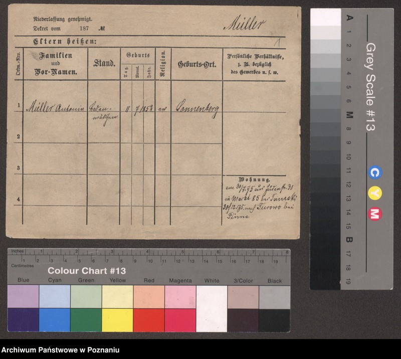 Obraz 3 z jednostki "Müller (samotne kobiety)"