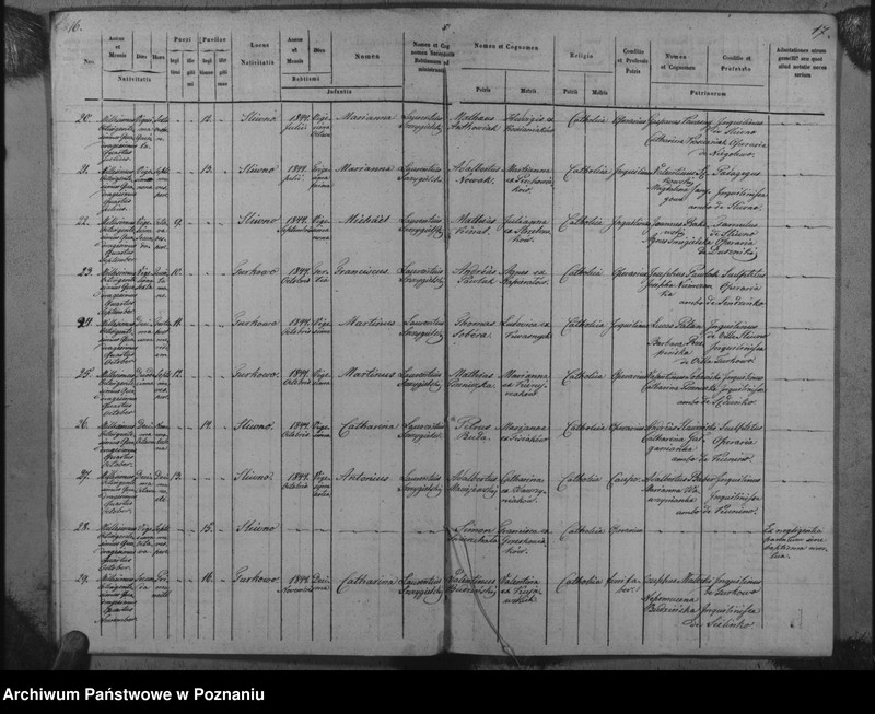 Obraz 11 z jednostki "Duplicat baptisatorum, copulatorum, mortuorum"