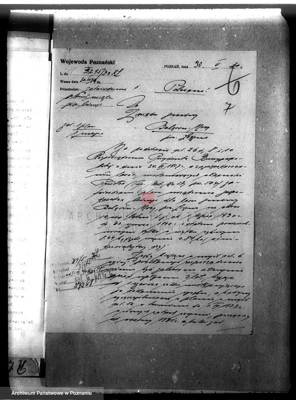 Obraz 11 z jednostki "Las gromady Belęcin-Nowy powiat leszczyński"