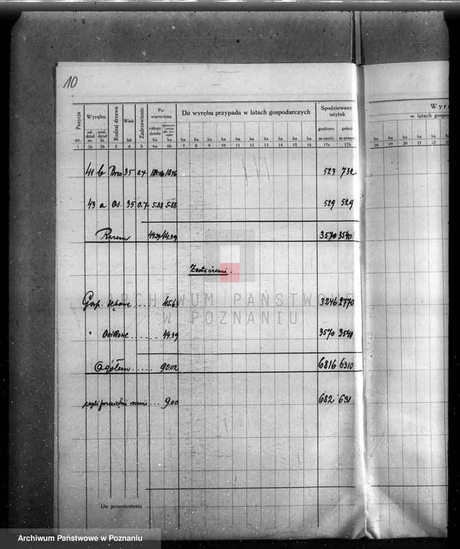 Obraz 14 z jednostki "Plan urządzenia gospodarstwa leśnego lasu majętności Dakowsko-Wojnowickiej w powiecie nowotomyskim"
