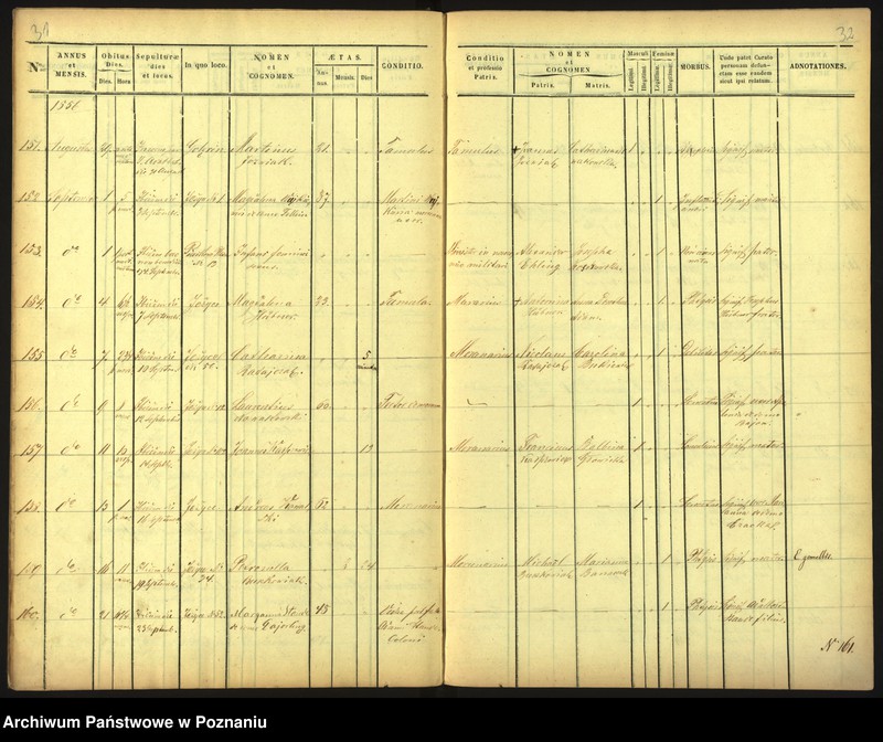 Obraz 19 z jednostki "Księga zgonów"