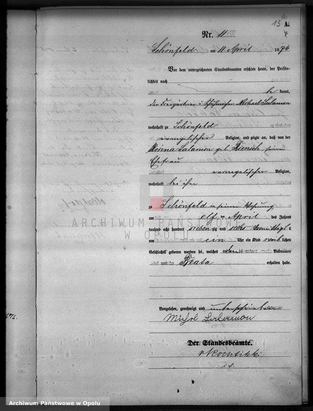 image.from.unit.number "Geburts-Haupt-Register Standesamts Schönfeld pro 1876"