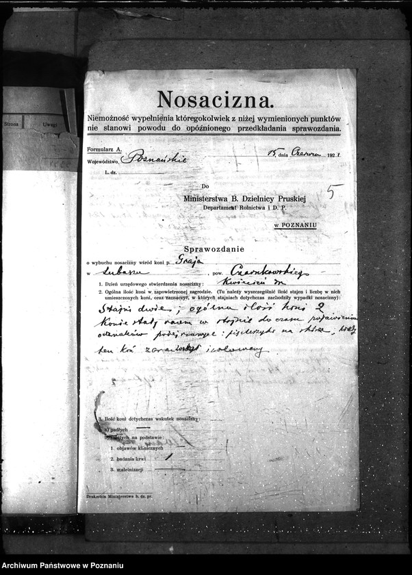 Obraz 9 z jednostki "Nosacizna - Czarnków"