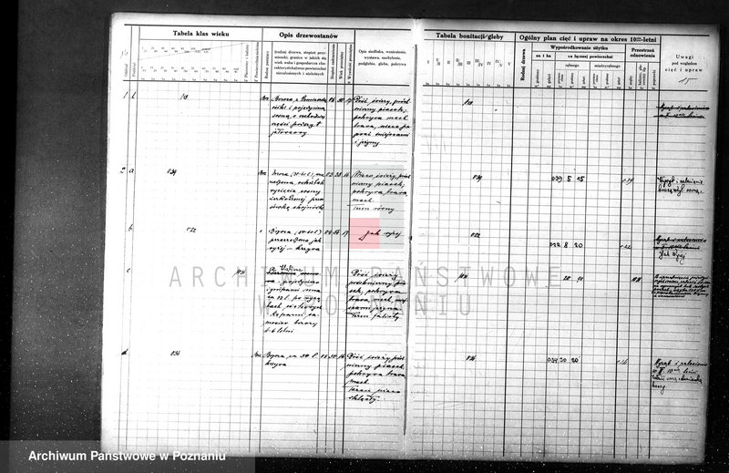 Obraz 16 z jednostki "majętności Sławno czarnkowskim"