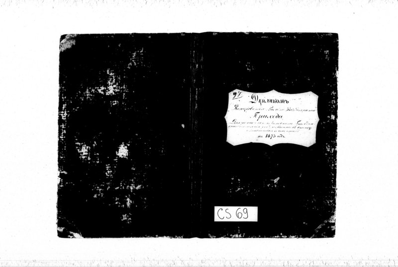 Obraz 2 z jednostki "Duplikat Kopciovskago Rymsko-Katoličeskago Prichoda Dlja zapisy akt Činovnika Graždanskogo sostojanija ob urodžiennych, brakosočstavšichsja i umeršich na god 1873"