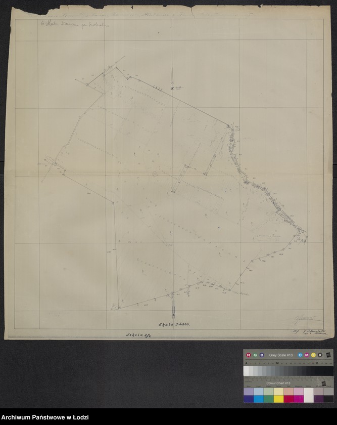 Obraz 1 z jednostki "Huta Drewniana, Wymysłów, Jagodniki, Palki, gmina Kobiele Wielkie, powiat Noworadomski"