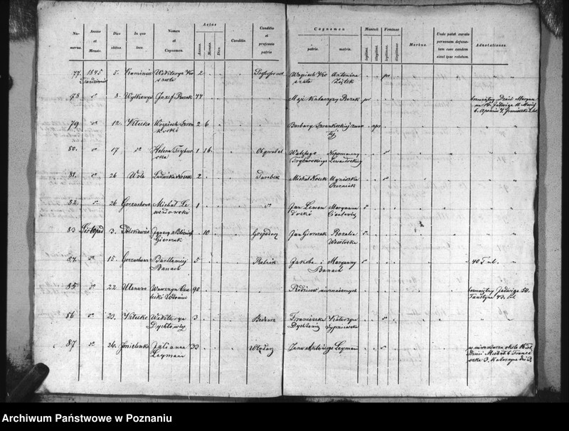 image.from.unit.number "Specyfikacja zmarłych"