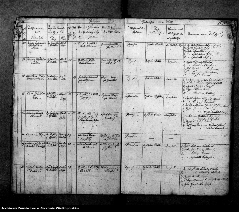 Obraz 13 z jednostki "Duplikate der Kirchenbücher von Pyrehne (Pyrzany): Pyrehne (Pyrzany), Woxholländer (Oksza), Logau (Łagów), Schützensorge (Kłopotowo), Pyrehner Holländer (Pyrzanki), Gross Rehne (Rań), Enterwerder (Kownatki), Stremeltswerder, Radewiesen (Zagajno), Ludwigshof (Okrąglica)."