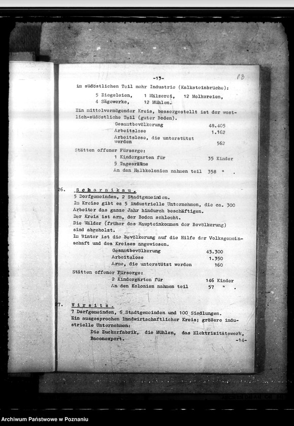 Obraz 17 z jednostki "Opieka nad młodzieżą"