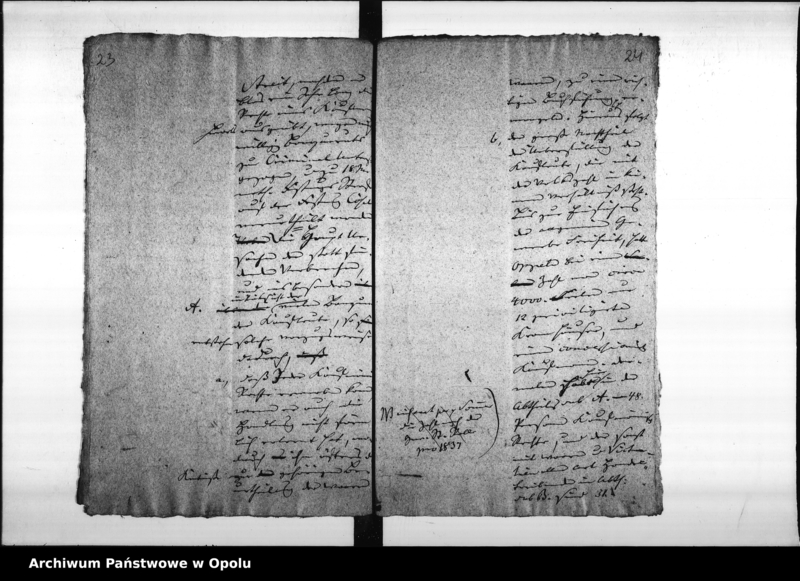 Obraz 17 z jednostki "Acta des Magistrats zu Oppeln betreffend den an das Königliche Ober - Landes - Gericht zu Ratibor erstatteten gutachtlichen Bericht über die Haupt - Ursachen der im Jahre 1835 verübten Verbrechen pp."