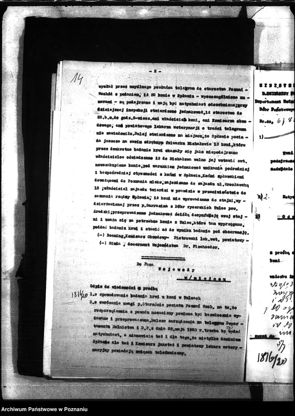 Obraz 18 z jednostki "Nosacizna - Poznań-Wschód"