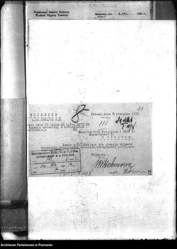 Obraz 17 z jednostki "Nosacizna - Koźmin"