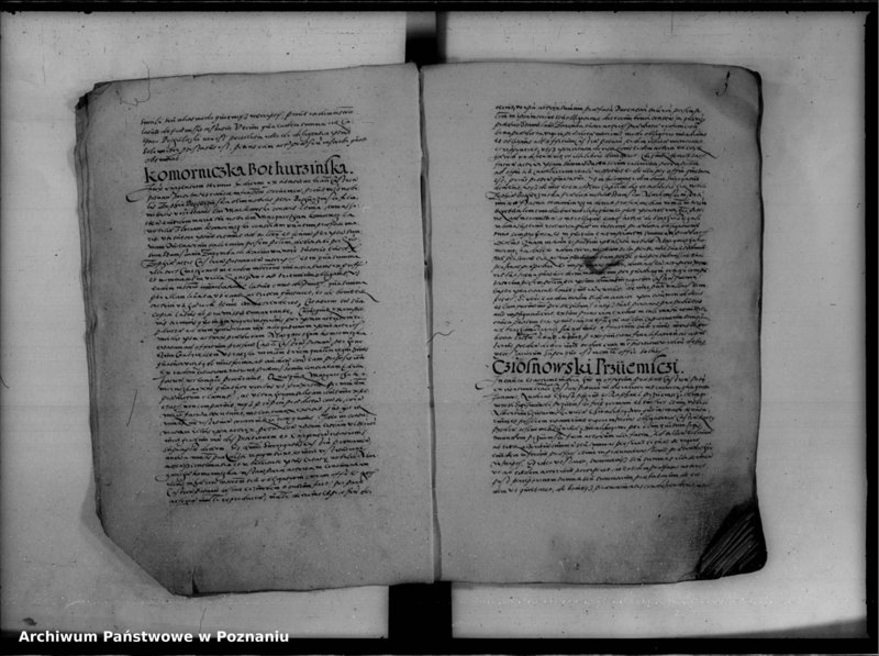 Obraz 10 z jednostki "Inscriptiones, relationes [inducta]"