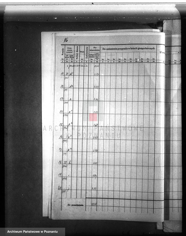 Obraz 18 z jednostki "Dodatkowy plan urządzania lasu dla lasu majątku Lubosz powiatu międzychodzkiego"