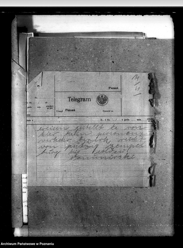 Obraz 18 z jednostki "Zarząd Stadnin Starogard"