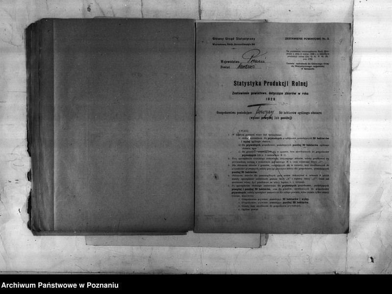 Obraz 11 z jednostki "/Statystyka produkcji rolnej - zestawienie ogólne z powiatu chodzieskiego"