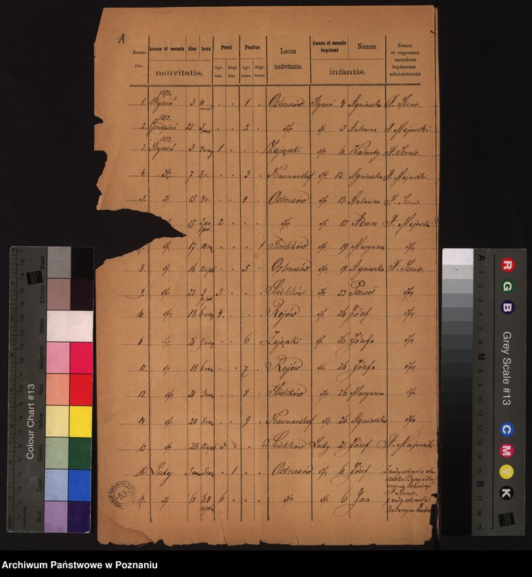 image.from.unit.number "Duplikat urodzonych"