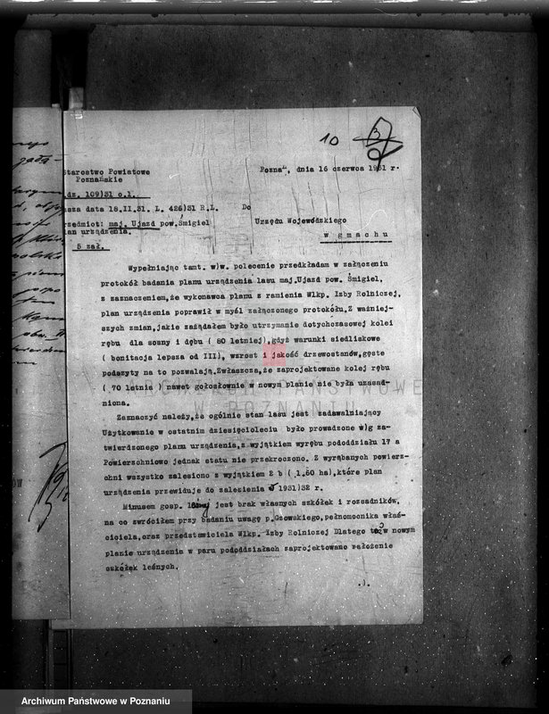 Obraz 14 z jednostki "Nadzór nad gospodarką w lasach majątku Ujazd powiat kościański"