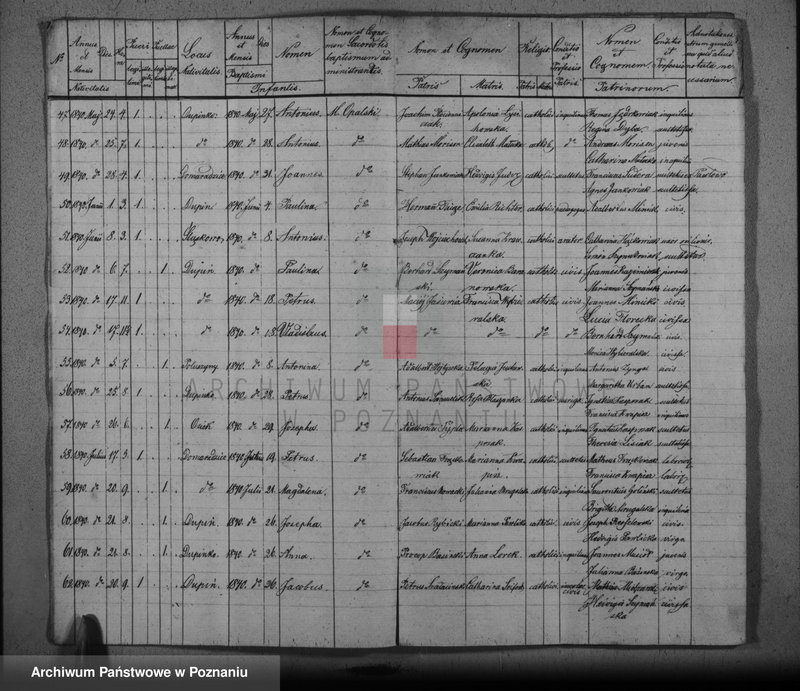 image.from.unit.number "Duplikat baptisatorum, copulatorum, mortuorum"