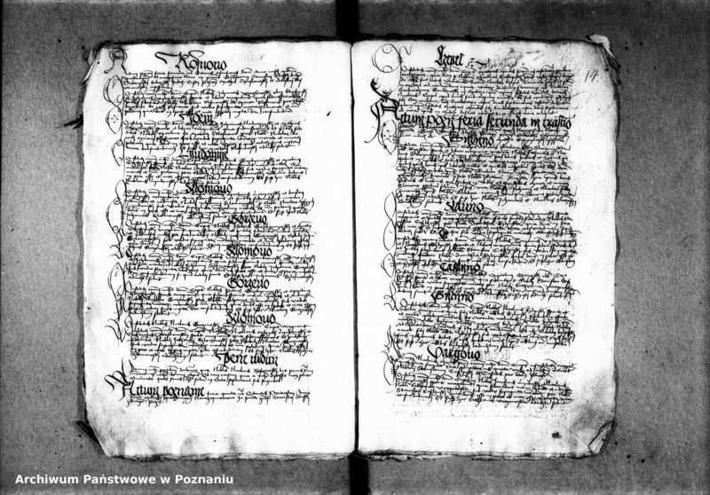 Obraz 19 z jednostki "Inscriptiones, relationes, decreta [inducta]"