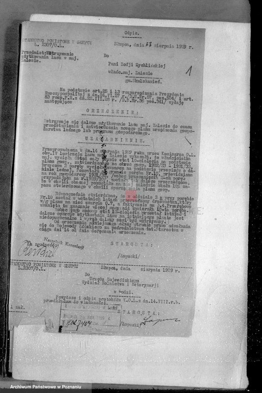 Obraz 4 z jednostki "Sprawa zmiany rodzaju użytkowania 14,42 ha gruntów leśnych w majątku Zalesie powiatu słupeckiego i zatwierdzenie planu gospodarczego"