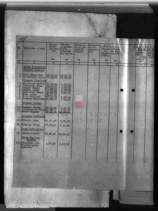 Obraz 19 z jednostki "Zalesienie nieużytków w powiecie mogileńskim"