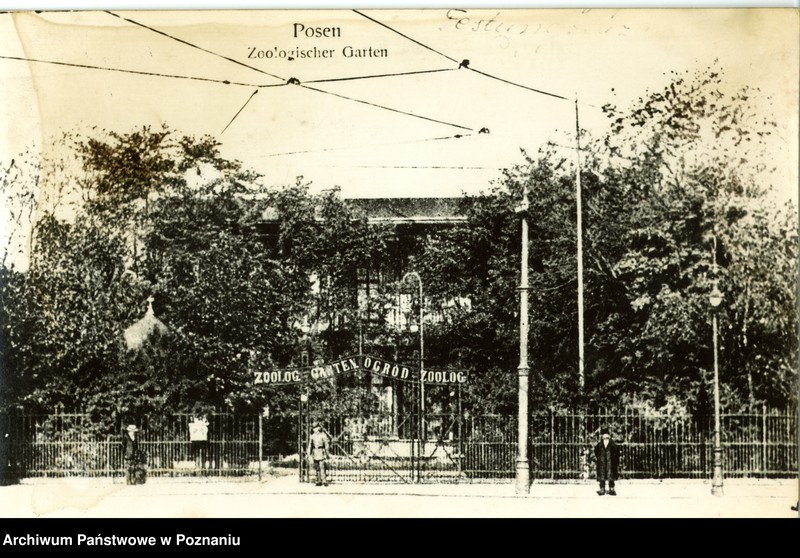 Obraz 1 z jednostki "Posen [Poznań] - Zoologischer Garten [Ogród Zoologiczny]"