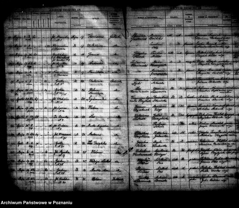 Obraz 15 z jednostki "Księga urodzin"