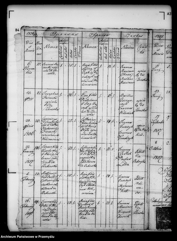 Obraz 17 z jednostki "[Kopie ksiąg metrykalnych parafii Wolica z filiami Bełchówka, Zboiska (dekanat Buków)]"