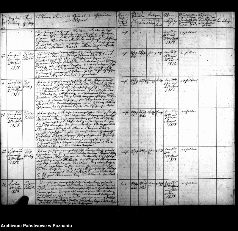 Obraz 7 z jednostki "Duplikat der Getrauten, Gebornen u. Verstorbenen"