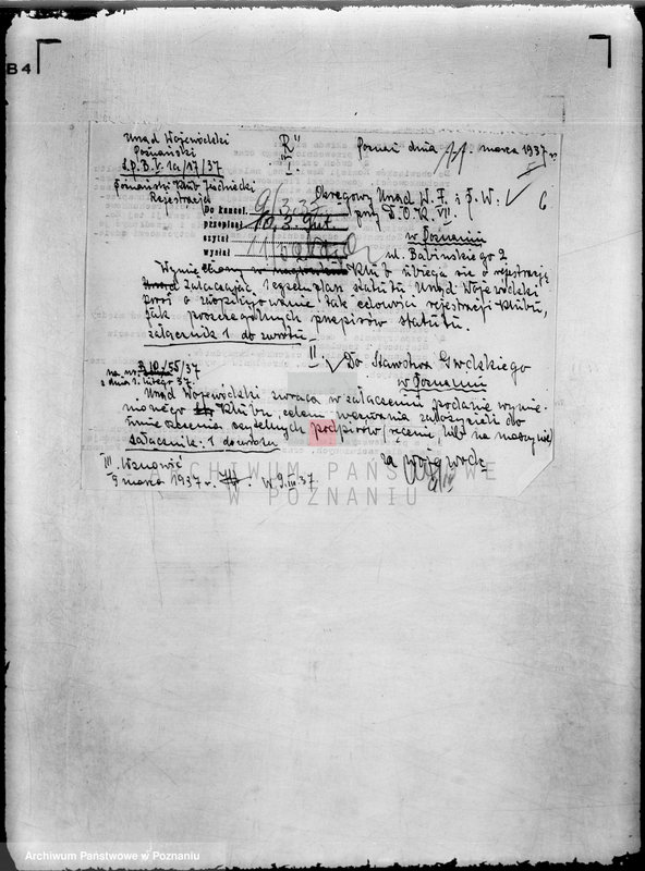 Obraz 10 z jednostki "/Poznański Klub Jeździecki w Poznaniu/"