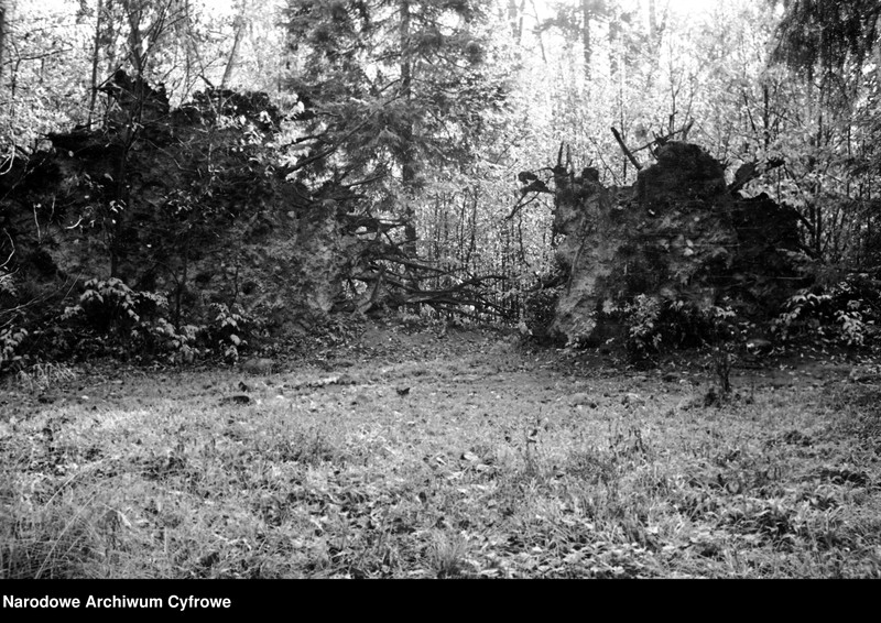image.from.unit.number "Białowieża"