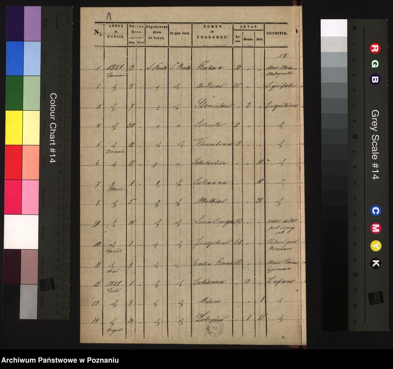 Obraz 3 z jednostki "Duplicat mortuorum"