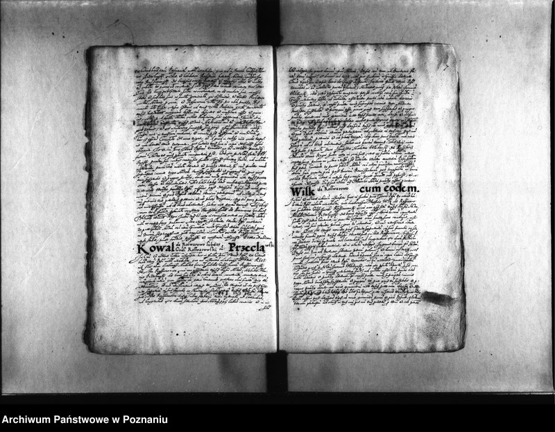 Obraz 10 z jednostki "Decreta [inducta]"