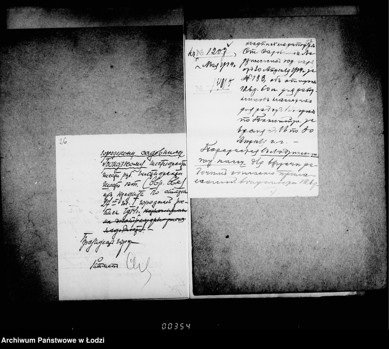 Obraz 19 z jednostki "O raschodach po soderžaniju v ispravnosti gorodskago parka po Panskoj ulice"