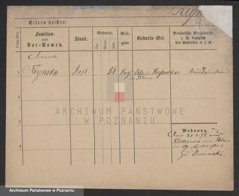 Obraz 9 z jednostki "Kinski - Kirstok"