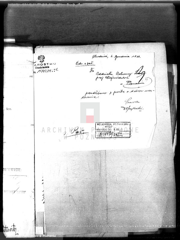 Obraz 9 z jednostki "Majętność leśna Oleśnica w powiecie chodzieskim"