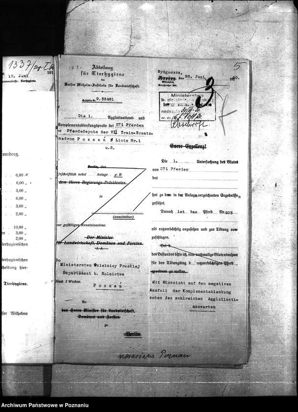 Obraz 9 z jednostki "Nosacizna - Poznań Miasto"