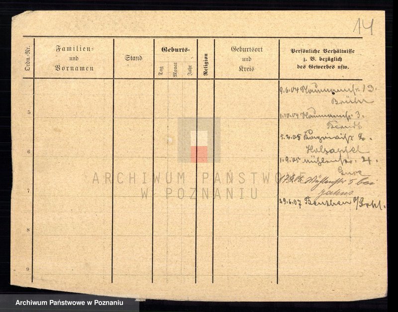 Obraz 16 z jednostki "Daab - Dalkowiecki"