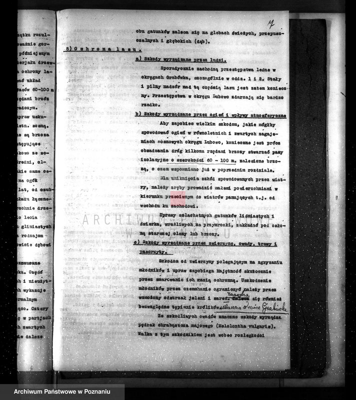 image.from.unit.number "Plan urządzenia gospodarstwa leśnego dla lasu majętności Pożarowo powiat szamotulski 1932-1942"
