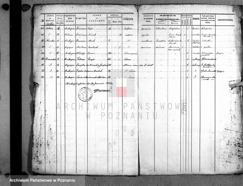 Obraz 5 z jednostki "Duplicatus mortuorum"