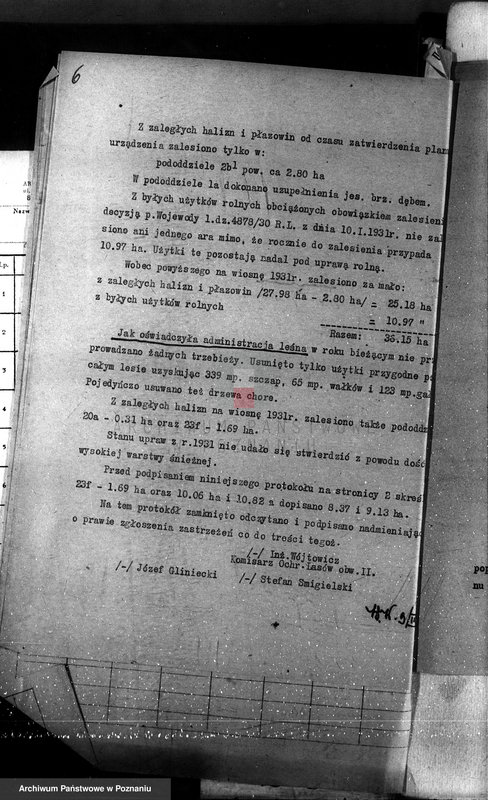 Obraz 10 z jednostki "Las majętności Bieczyny powiat kościański"