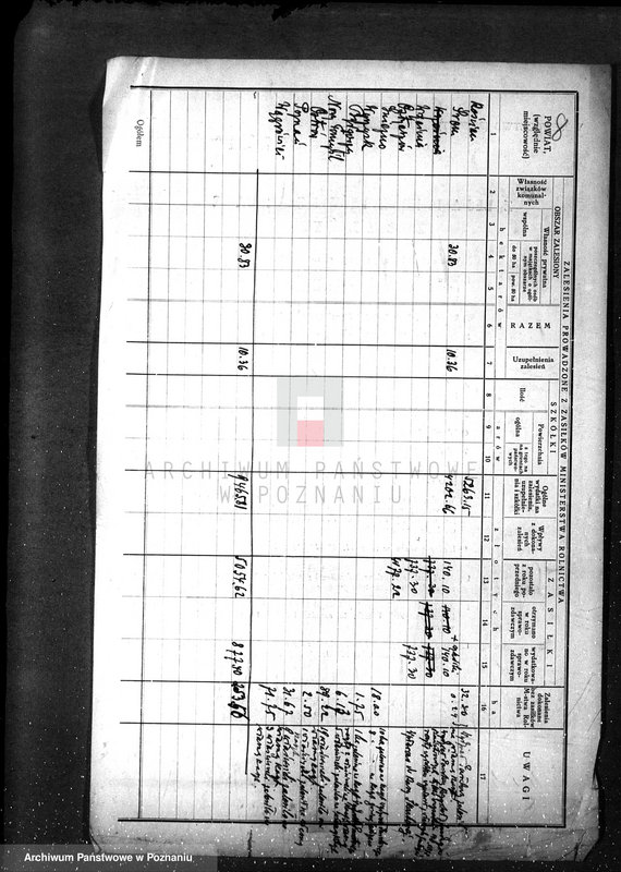 Obraz 12 z jednostki "Zalesienie nieużytków /sprawy ogólne/"