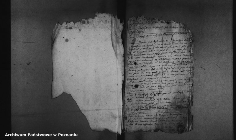 Obraz 4 z jednostki "Decreta officii [protocollon]"