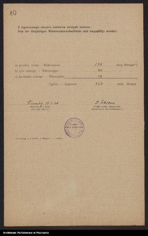 Obraz 12 z jednostki "[Kwestionariusze dotyczące obszaru ozimin zaoranych, powiat gniewski]"